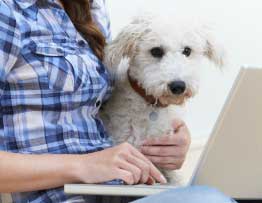 dog-bath-appointment-online