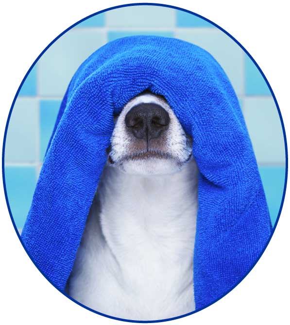 dog-bath-towel