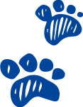 dog-paws